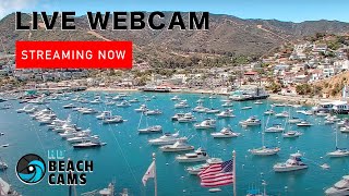 Live Webcam Catalina Island California [upl. by Newlin]