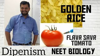 GOLDEN RICE  FLAVR SAVR TOMATO  ANTISENSE RNA technology Biotechnology Application NEET Dipenism [upl. by Adorl]