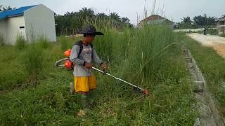 Potong rumput dengan mesin [upl. by Llerihs]