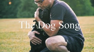 The Dog Song by Dhani Harrison Netflixs Docuseries quotDogsquot main theme [upl. by Charin764]