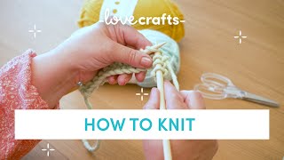 How to Knit  for absolute BEGINNERS [upl. by Zach]