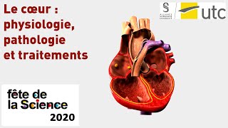 Le cœur  physiologie pathologie et traitements [upl. by Hasheem]