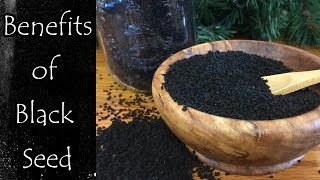 Benefits of Black Seed Nigella Sativa [upl. by Ceil356]