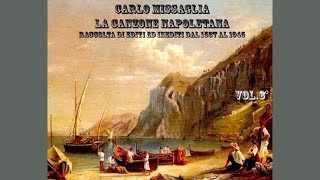 Carlo Missaglia  La Canzone Napoletana vol 6  FULL ALBUM [upl. by Dlonra539]