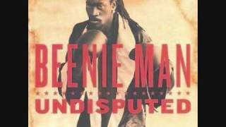 Beenie Man mix [upl. by Ecienaj]