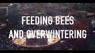 Feeding Bees and Overwintering [upl. by Nedak]