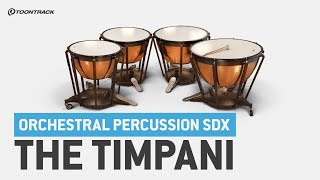 Orchestral Percussion SDX The Timpani [upl. by Adnuhsed]