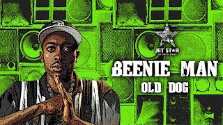 Beenie Man  Old Dog Official Audio  Jet Star Music [upl. by Augustin]