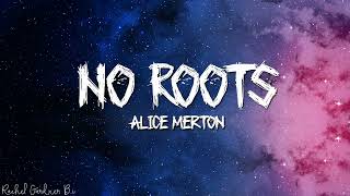 Alice Merton – No Roots Lyrics [upl. by Marta]