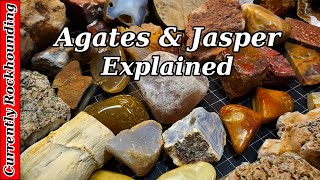 Agates amp Jasper  What Do You Really Know About Them [upl. by Bills]