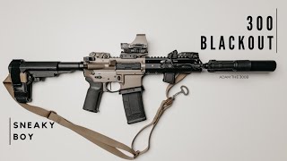 300 AAC Blackout  The Quietest Gun I Own [upl. by Derk]