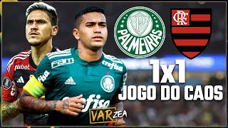 PALMEIRAS x FLAMENGO O JOGO DO CAOS  VARzea [upl. by Arreit646]