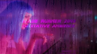 Blade Runner 2049 Meditative Ambience [upl. by Nilhsa]