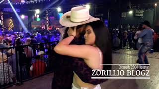 Norteñas 2019 2020 Bailando Con Sax Mix Zorillio Blogz [upl. by Vashtia]