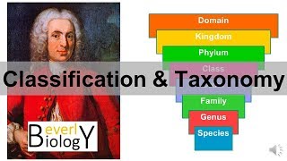 Classification and Taxonomy [upl. by Tory]