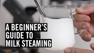 Everything You Need To Know To Steam Great Milk [upl. by Quinby104]