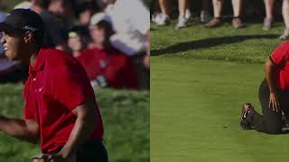 Tiger Woods Greatest Ever Nike Commercial [upl. by Eelamme]