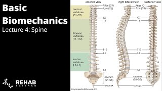 Biomechanics Lecture 4  Spine [upl. by Ybsorc]