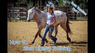 How To Start Liberty Training With Your Horse Basic Exercises Part 1 [upl. by Htilil]