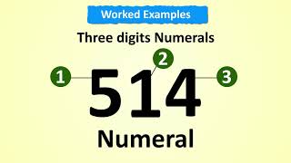 Numbers Numerals and Digits [upl. by Onaicilef399]