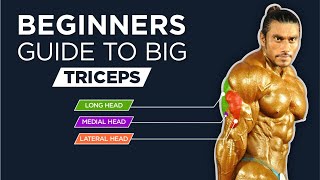 HOW TO BUILD BIG TRICEPS  Beginners guide to big triceps  Sangram Chougule [upl. by Gilpin]