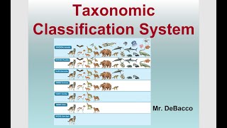 Taxonomic Classification [upl. by Anival108]