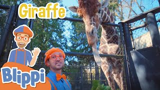 Learning Zoo Animals For Kids With Blippi amp More Blippi Episodes  Educational Videos For Children [upl. by Nylyahs]