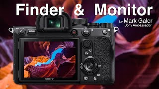 Sony ViewFinder Finder and Monitor Settings [upl. by Lagas]