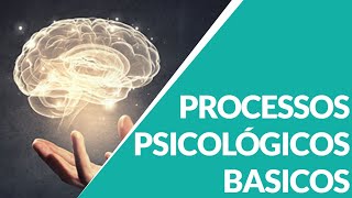 PROCESSOS PSICOLOGICOS BASICOS [upl. by Llerahc492]