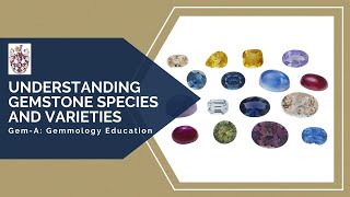 GemA Live Understanding Gemstone Species and Varieties [upl. by Mahda]