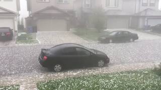 CRAZY GOLFBALL SIZED HAIL STORM IN CALGARY [upl. by Yzmar]