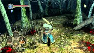 Dark Souls II Zweihander moveset [upl. by Weld217]